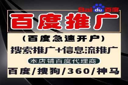 SEM代运营机构成功案例：优化策略与效果分析